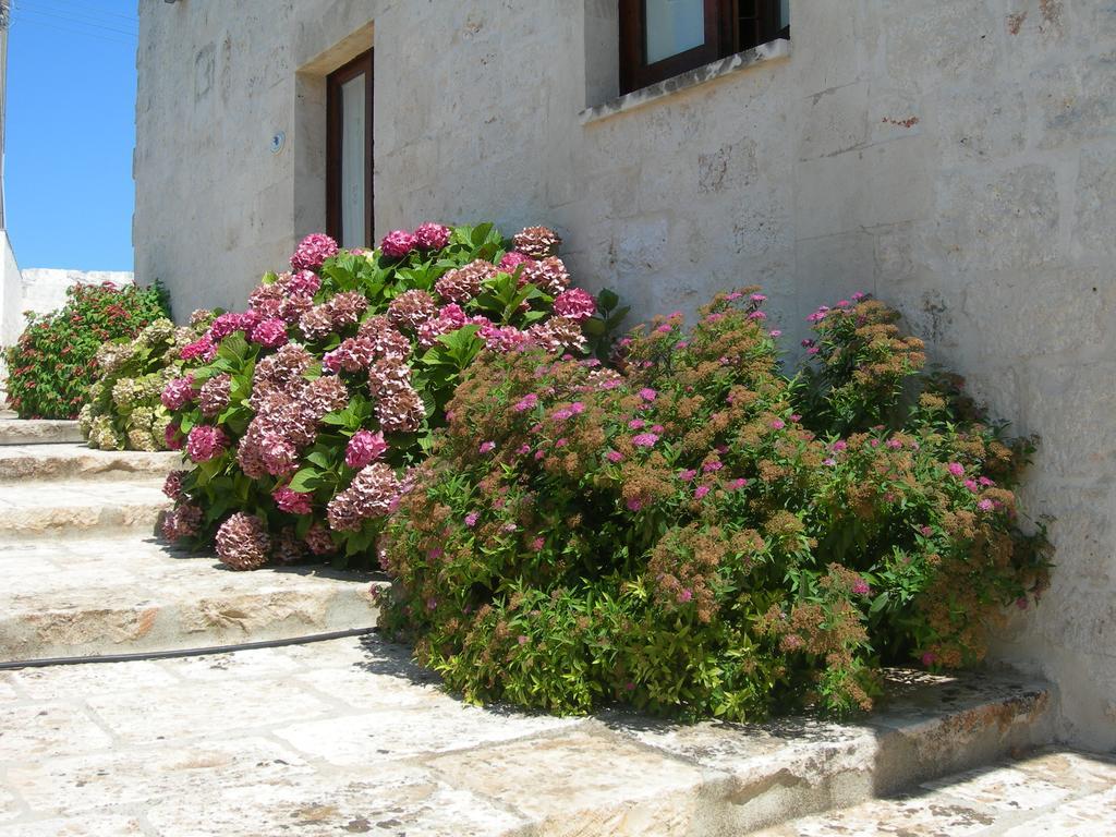 Masseria Montecchie Ceglie Messapica Buitenkant foto